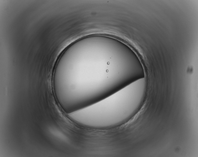 X0000100411513200806060914