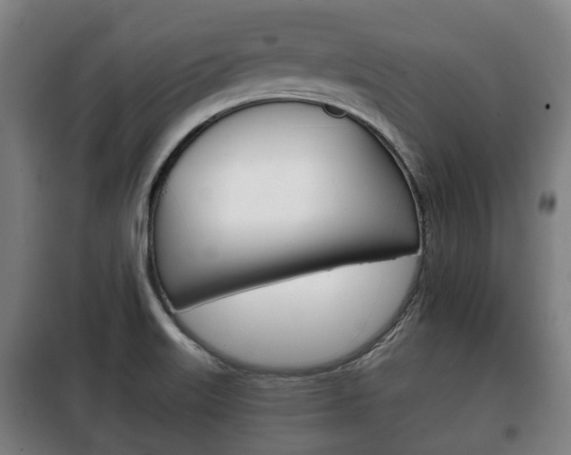 X0000100411515200806060914