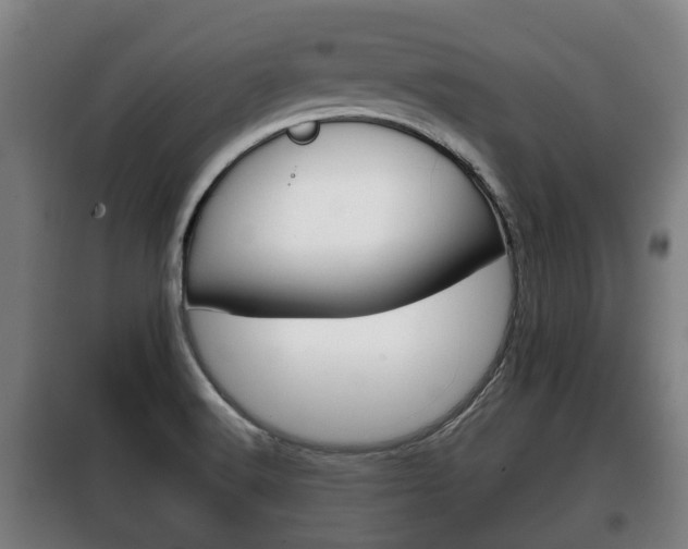 X0000100411516200806060914