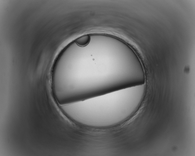 X0000100411517200806060914