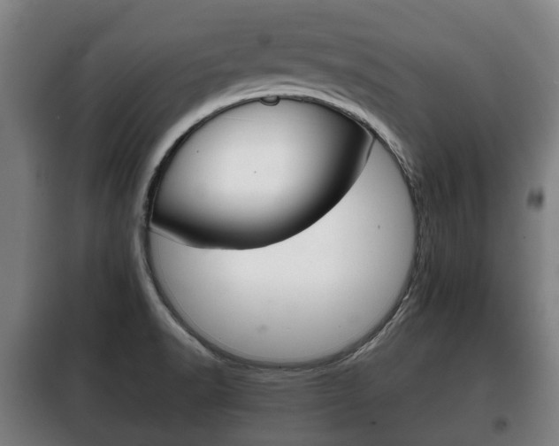 X0000100411518200806060914