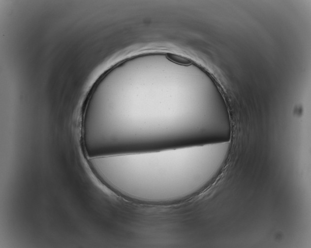 X0000100411519200806060914