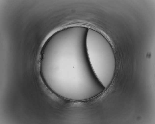 X0000100411522200806060914