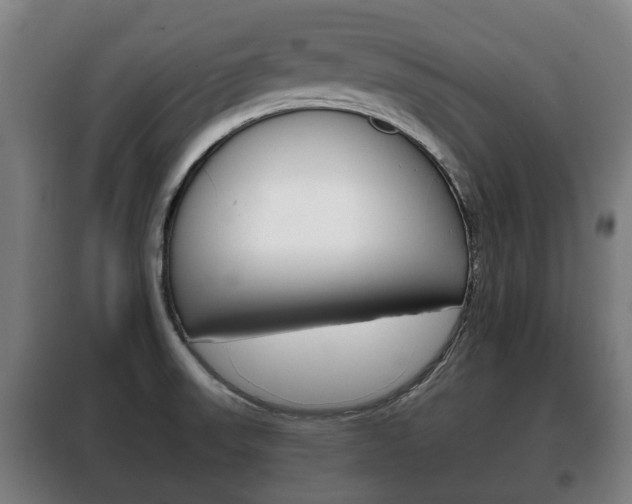 X0000100411523200806060914