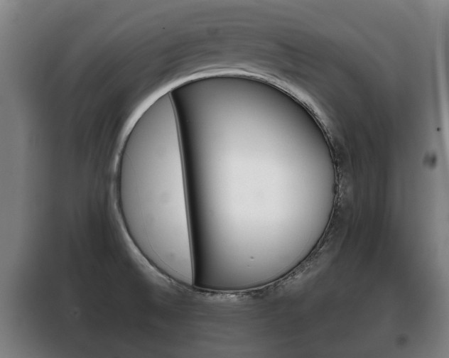 X0000100411524200806060914