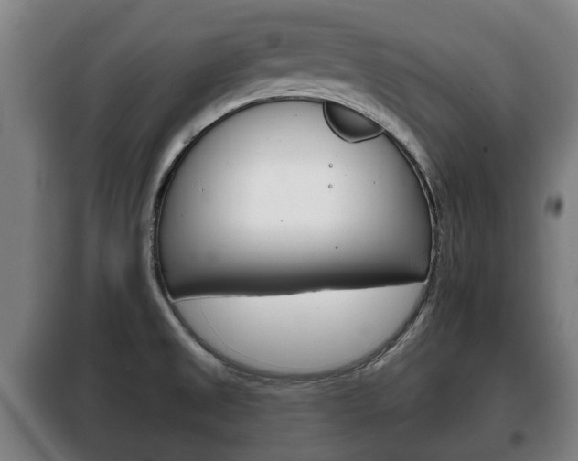 X0000100411525200806060914