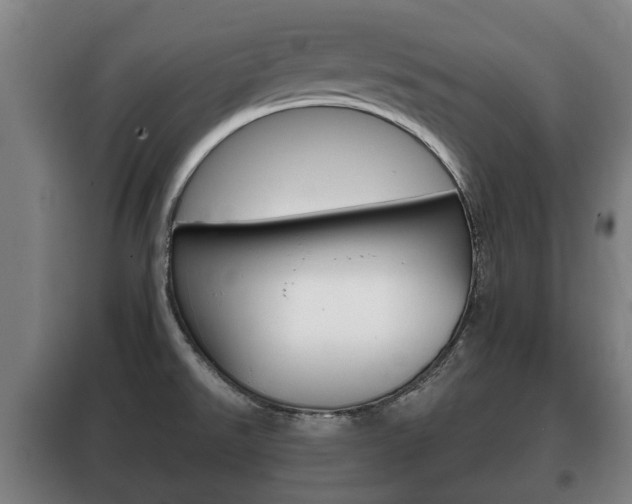 X0000100411526200806060914