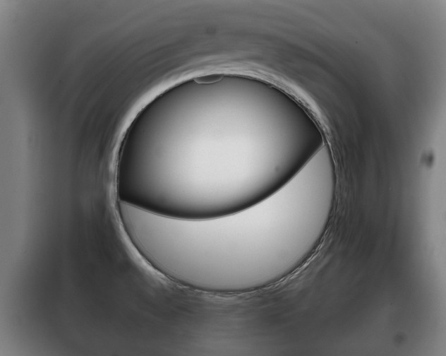 X0000100411528200806060914