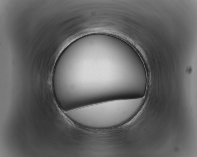 X0000100411529200806060914