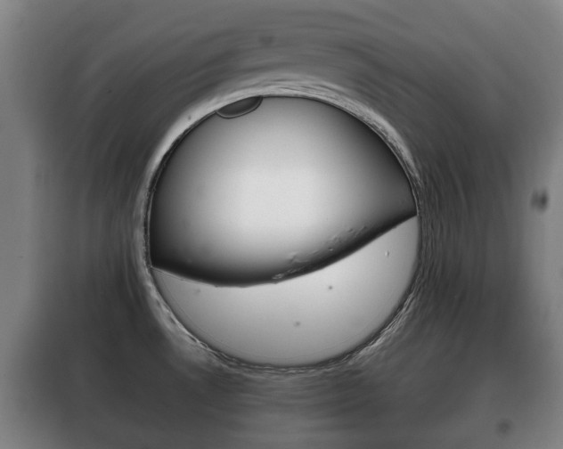 X0000100411530200806060914