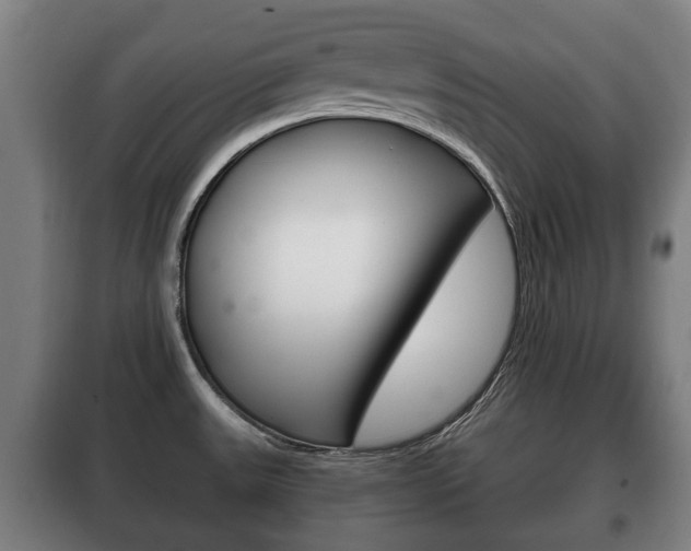 X0000100411531200806060914