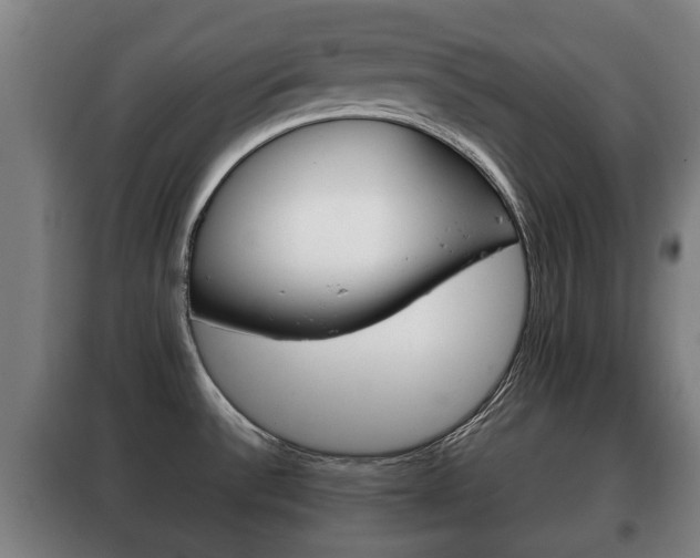 X0000100411532200806060914