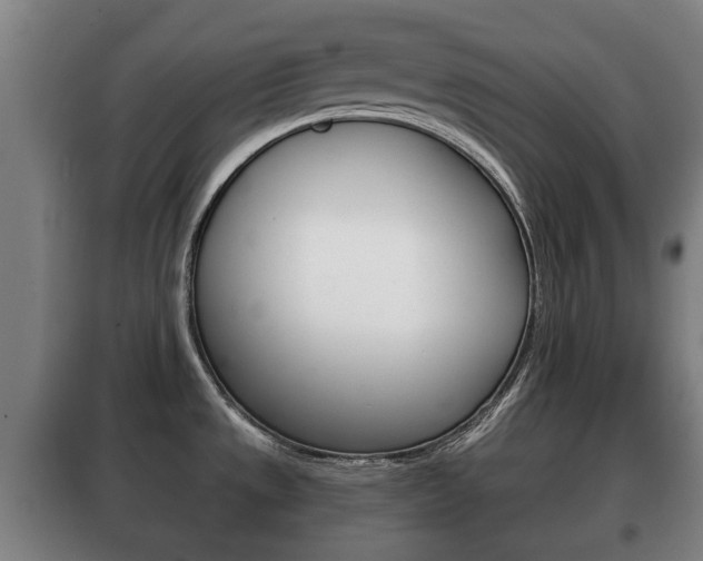 X0000100411533200806060914