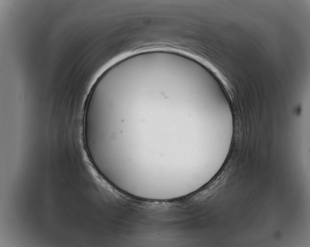 X0000100411534200806060914