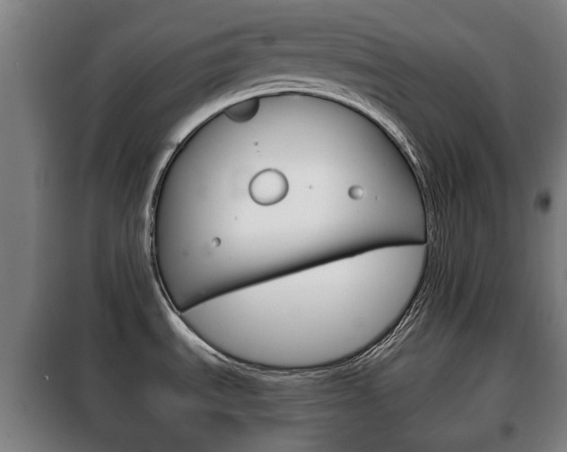 X0000100411535200806060914