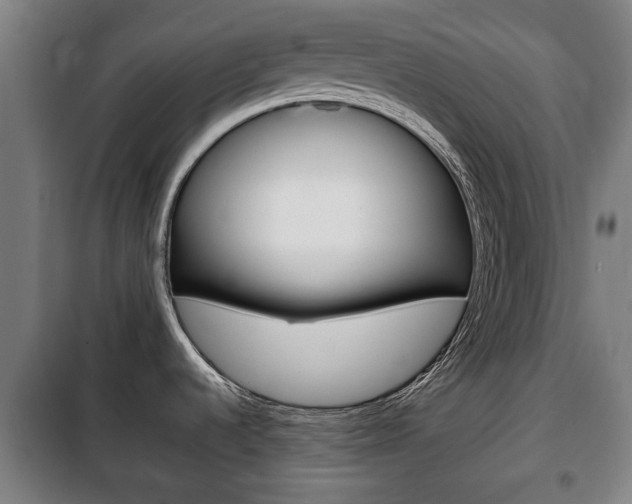 X0000100411536200806060914