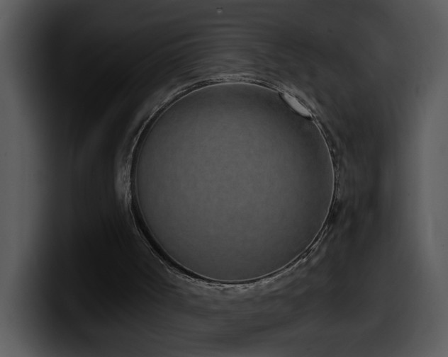 X0000100410002200806061351