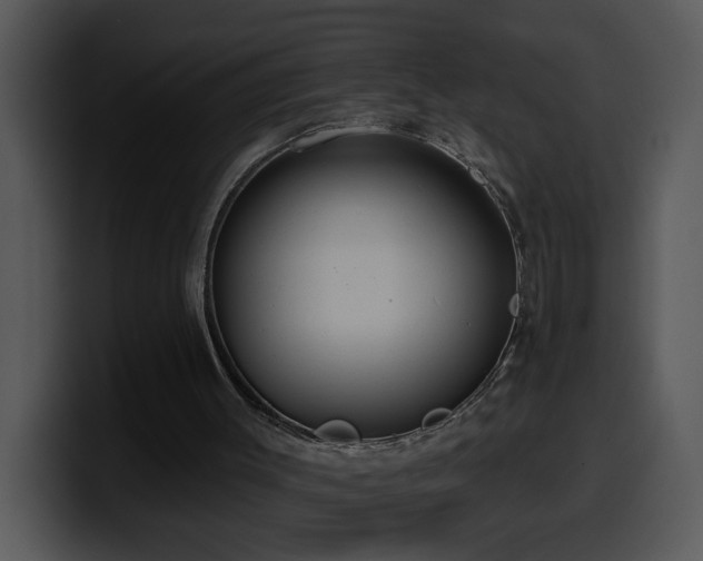 X0000100410003200806061351