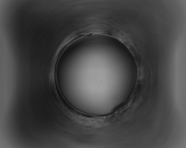 X0000100410004200806061351