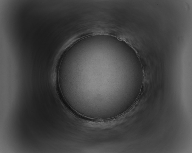 X0000100410005200806061351