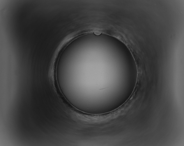 X0000100410006200806061351