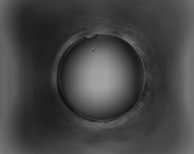 X0000100410007200806061351