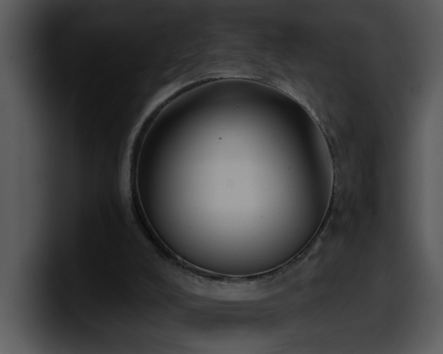 X0000100410008200806061351