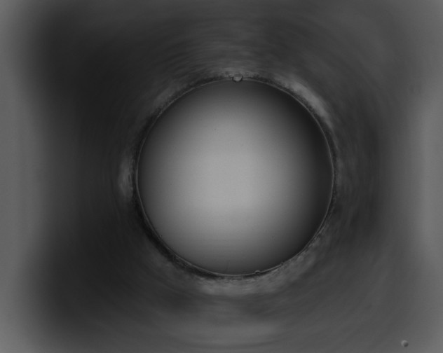 X0000100410009200806061351