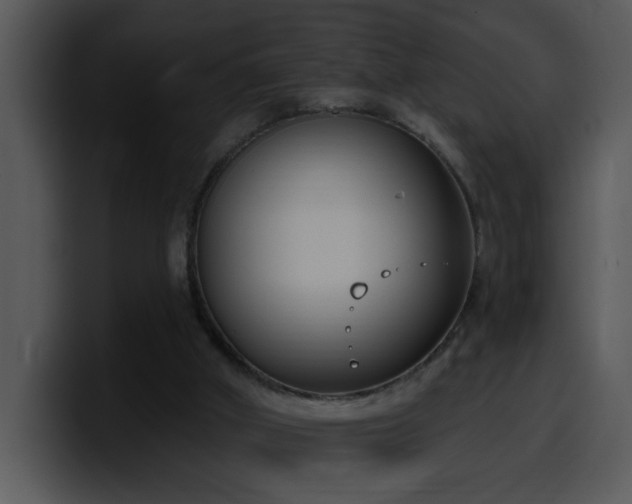 X0000100410010200806061351