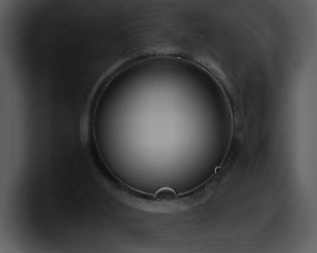 X0000100410012200806061351