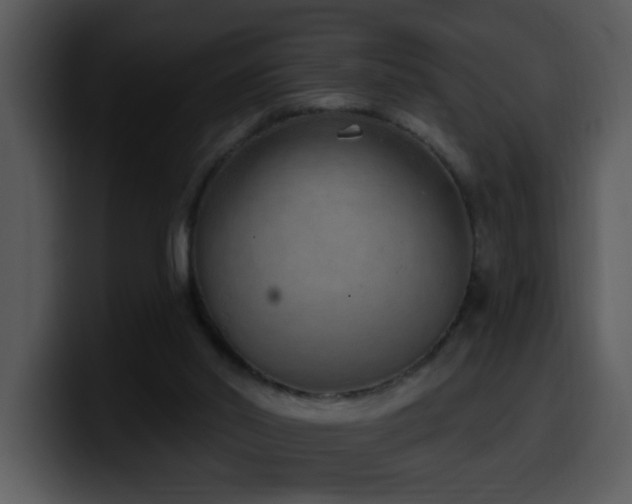 X0000100410014200806061351