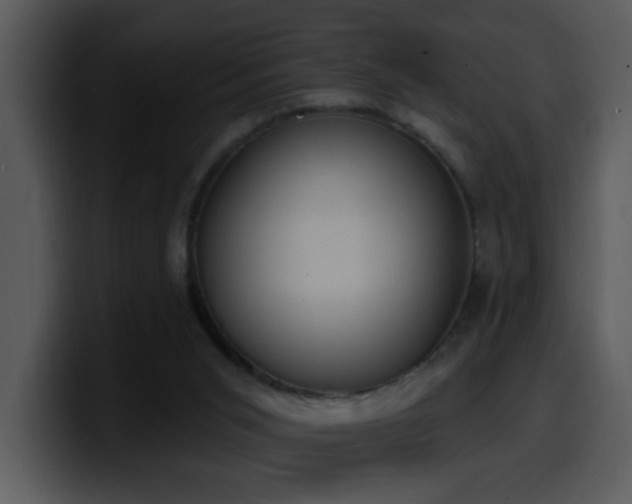 X0000100410015200806061351