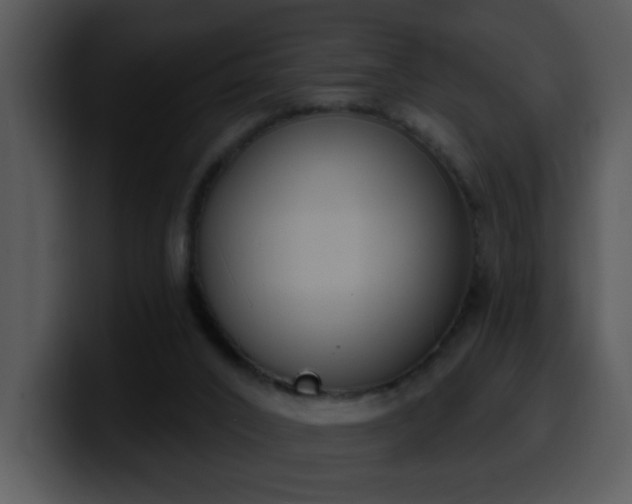 X0000100410016200806061351