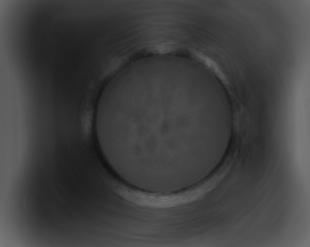 X0000100410018200806061351