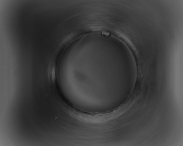 X0000100410019200806061351