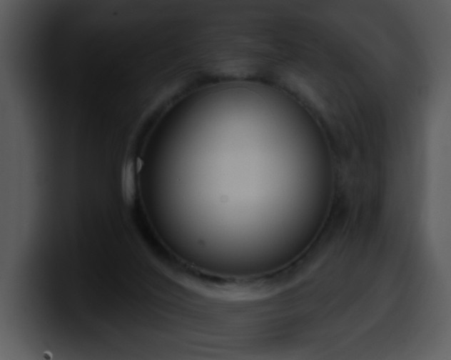 X0000100410020200806061351