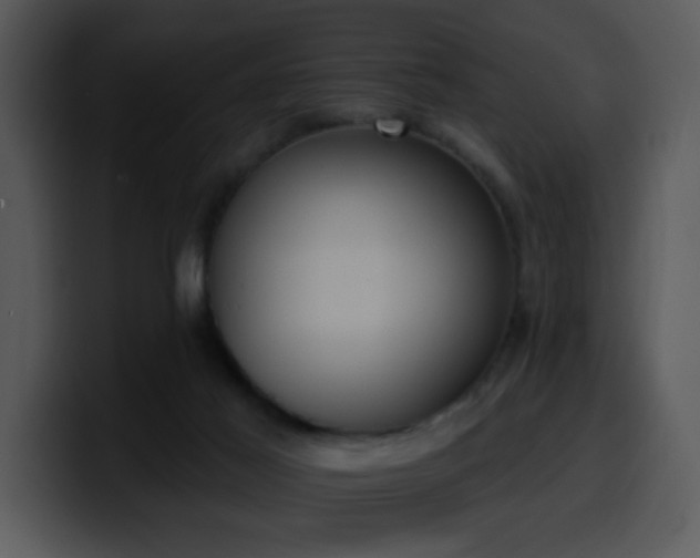 X0000100410021200806061351