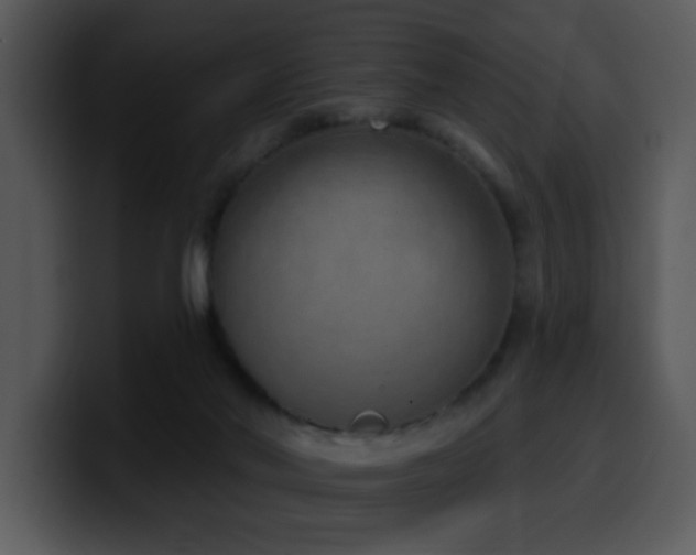 X0000100410022200806061351