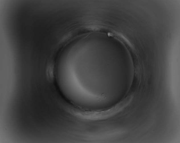 X0000100410023200806061351