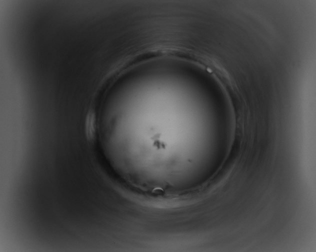 X0000100410024200806061351