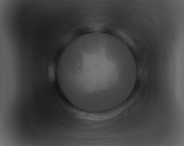 X0000100410026200806061351