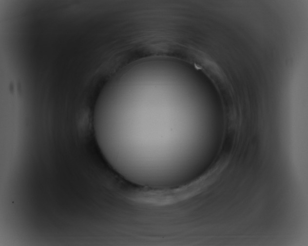 X0000100410029200806061351