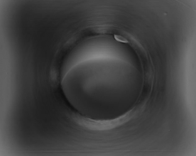 X0000100410031200806061351