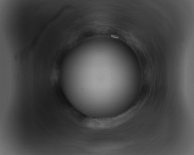 X0000100410033200806061351