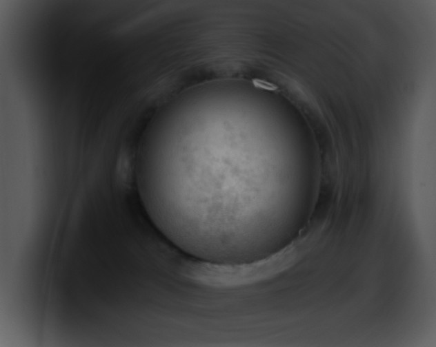 X0000100410037200806061351