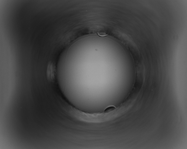 X0000100410038200806061351