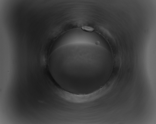 X0000100410039200806061351