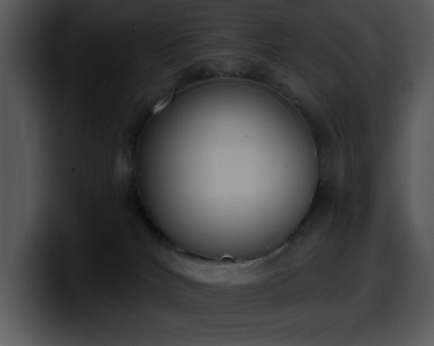 X0000100410040200806061351