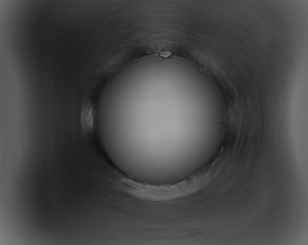 X0000100410042200806061351