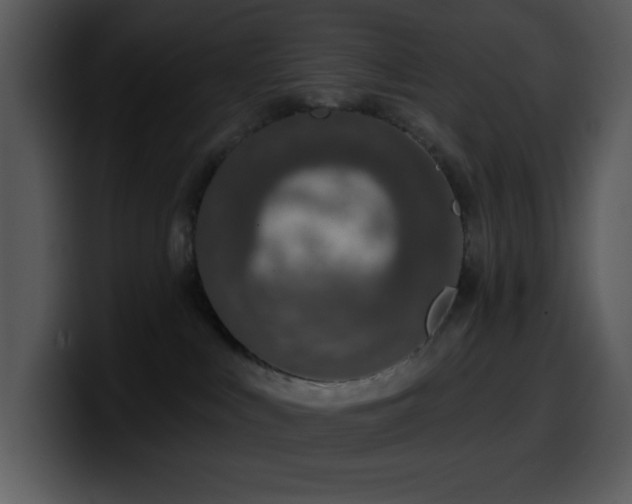 X0000100410043200806061351